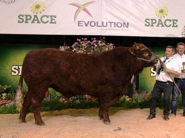 JONGLEUR Champion au SPACE 2016 El Bernard ROPERT