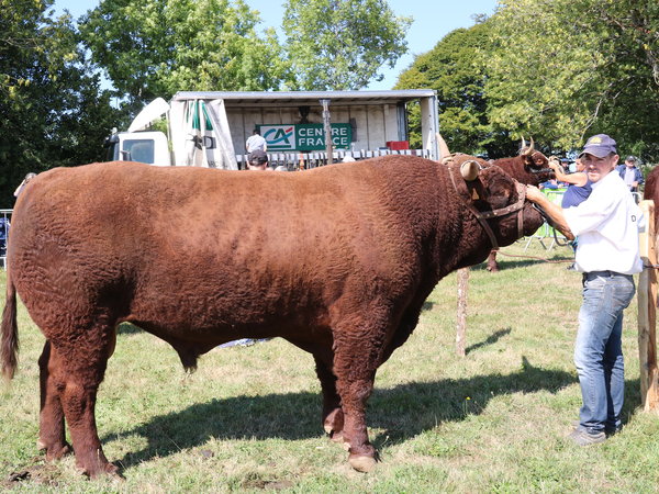 Idéal Prix du meilleur raceur St. Genés-Champespe Fils de Crock Parc GAEC Dauphin Tarri