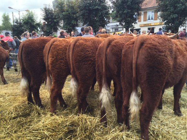 Gr. Bourettes 1ier Prix Riom Es Montagnes GAEC Beyle