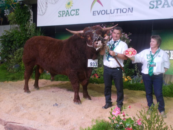 Jongleur 1ier Prix et Champion au SPACE El Ropert