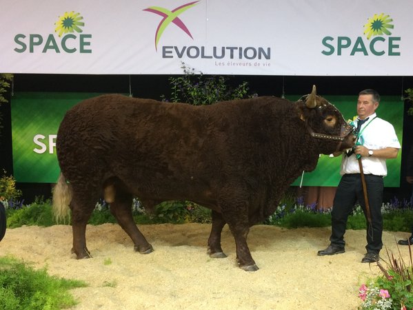 Jongleur au SPACE 1er Prix El Ropert