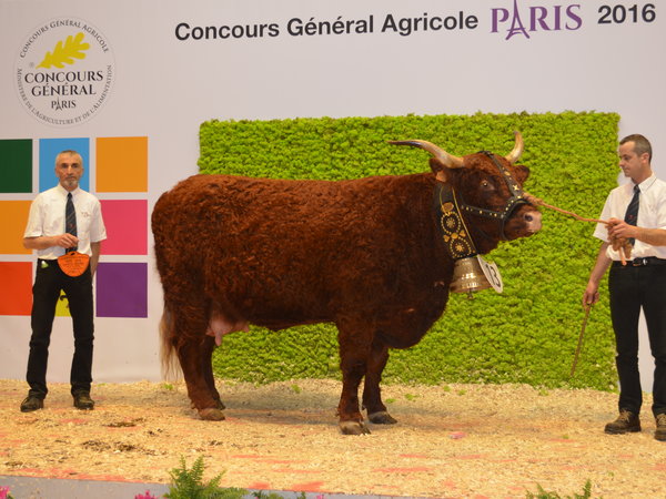 Eugénie Championne Paris GAEC DUVAL ici Claude et Frédéric