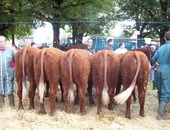 Groupe bourrettes GAEC DE PARIEU