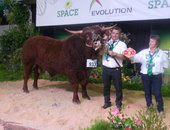 Jongleur 1ier Prix et Champion au SPACE El Ropert