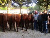 1ier Prix d'Honneur Comice d'Aurillac avec la famille Phialip Roger Jacques et Romain